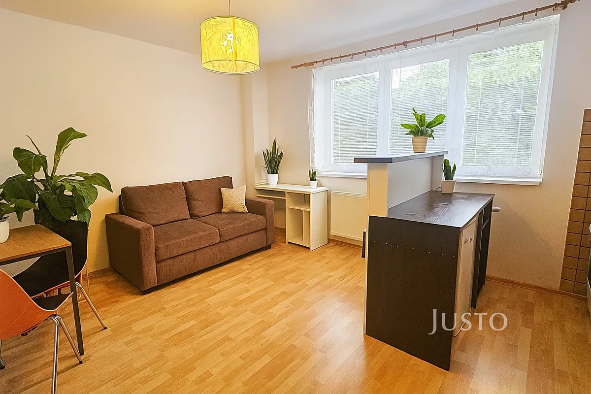 Pronájem bytu 1+kk 28 m²